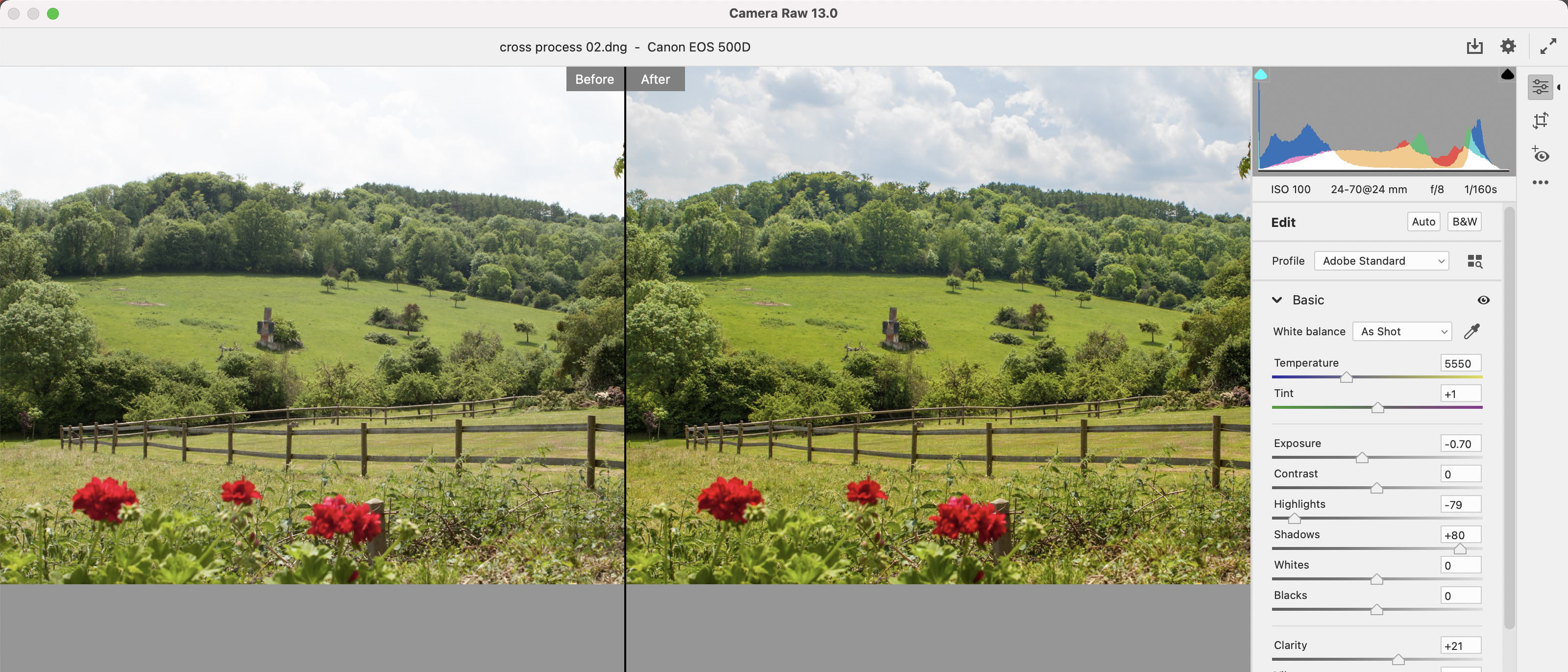 Adobe Photoshop Elements 2021 review | Digital Camera World