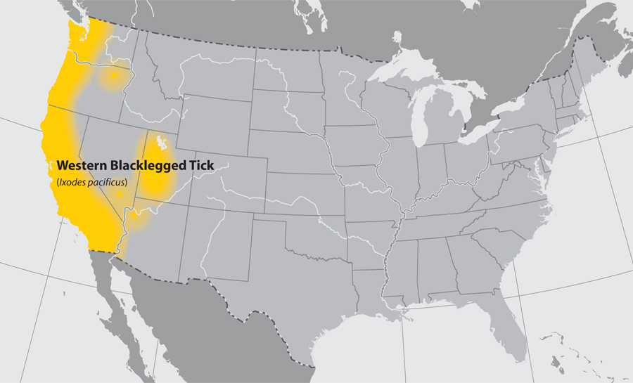 A map showing the range of the Western Blacklegged Tick