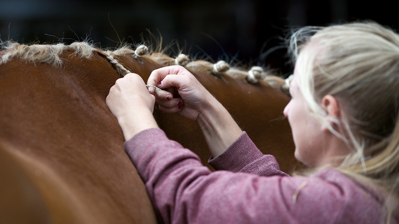 plaiting