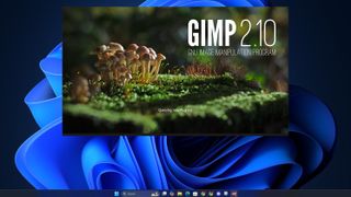 Gimp in action