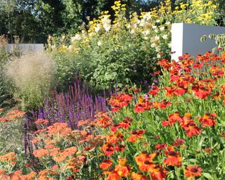 color combinations in planting