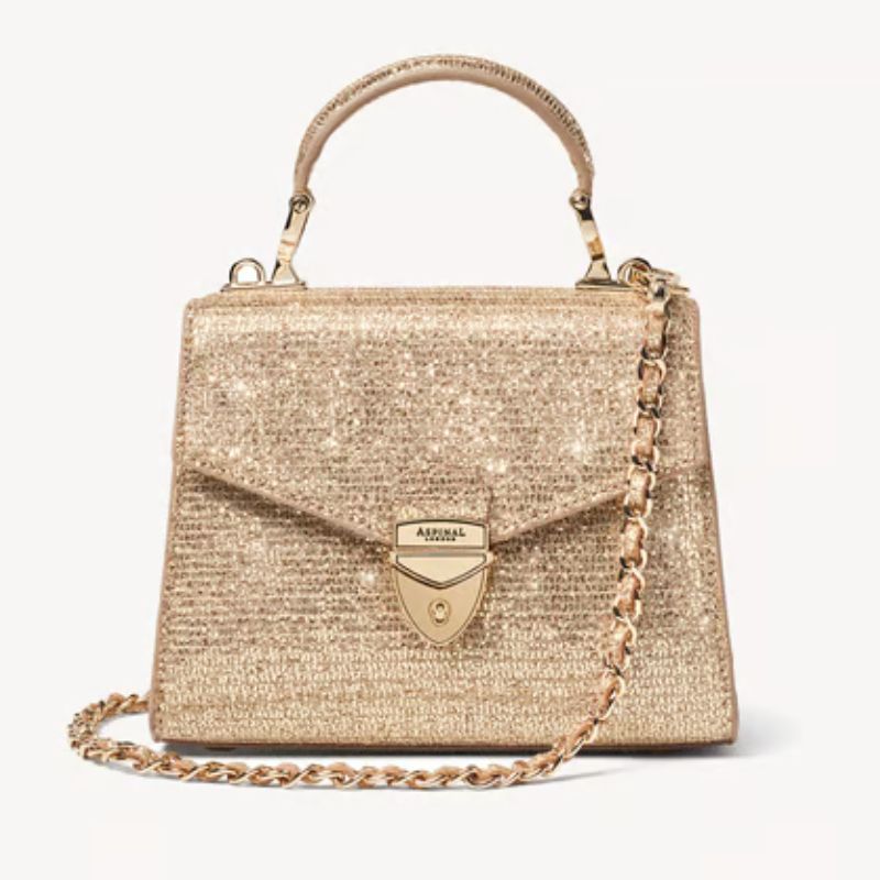 gold mini bag with top handle