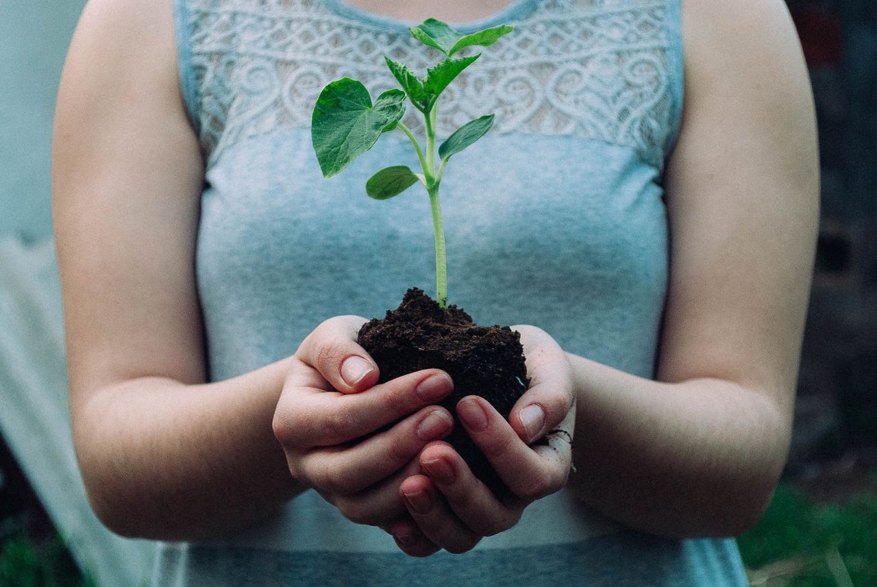 woman holding plant in soil