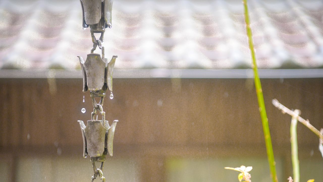 A rain chain hanging at the entrance of a Japanese house with rain droplets dripping down