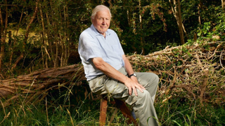Portrait of David Attenborough for Planet Earth 3