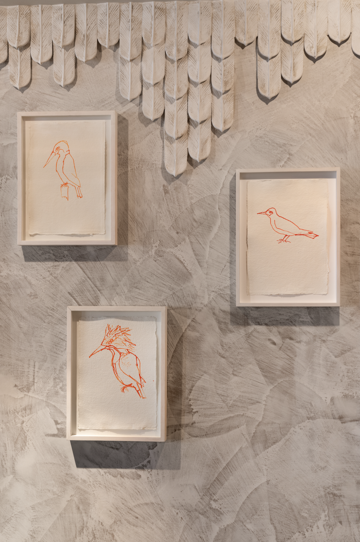 bird drawings