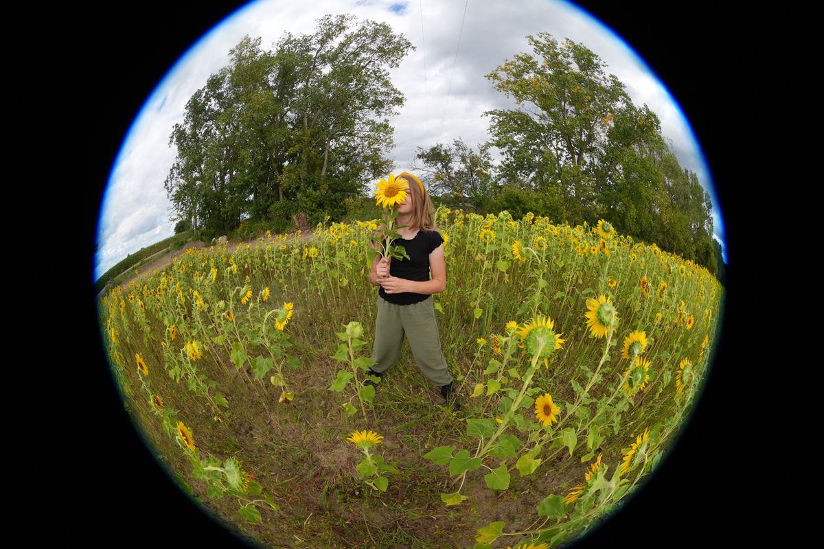 An image sample from the Sony FE 8-14mm f/3.5 Fisheye G