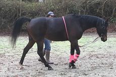 Chis-stretching-exercises.jpg