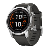 Garmin Fenix FS Pro solar (42mm)