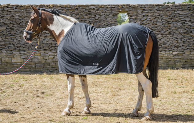 Bucas Power Cooler review