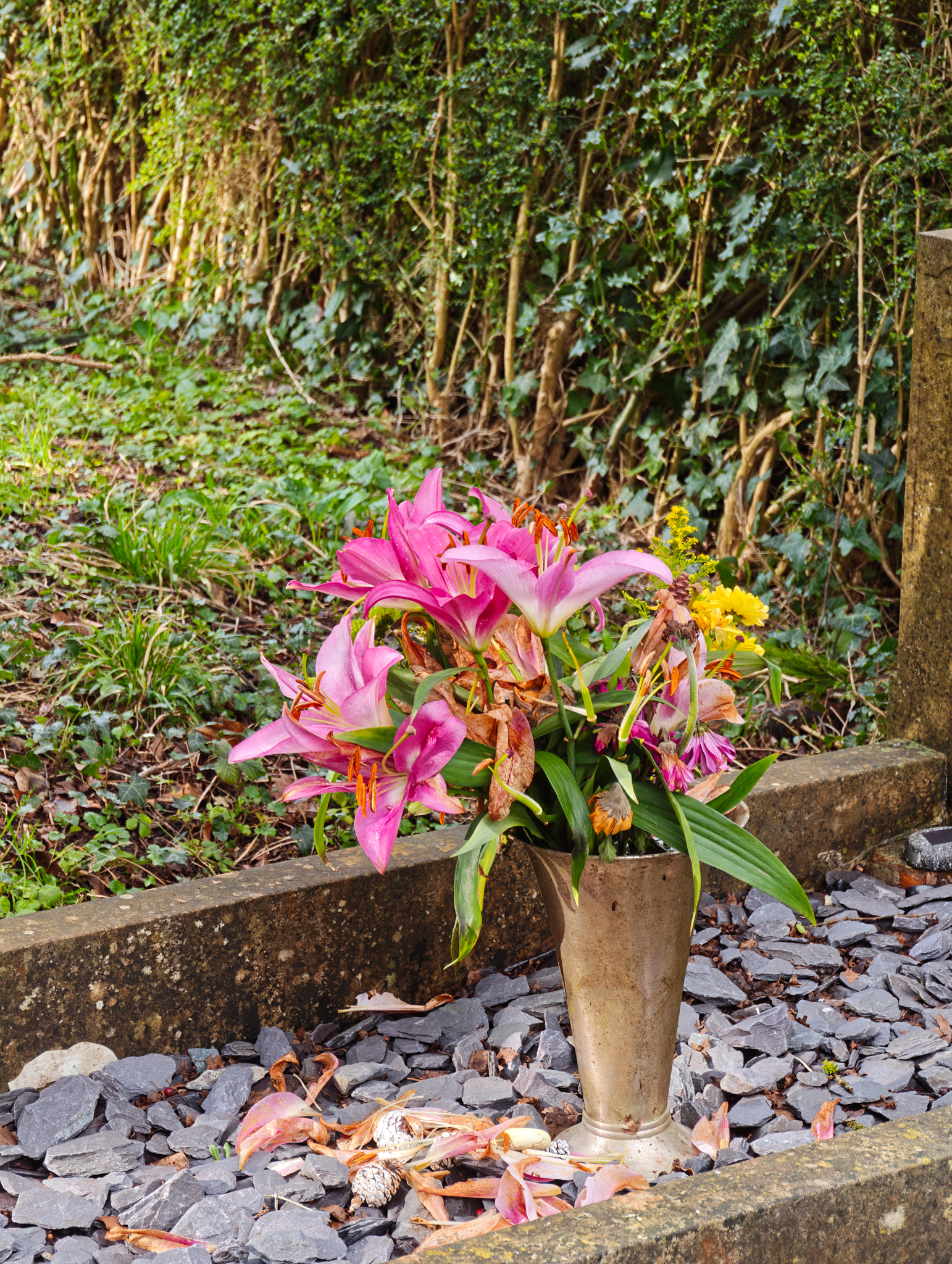 A photo taken on a Leica Leitzphone 200MP smartphone camera