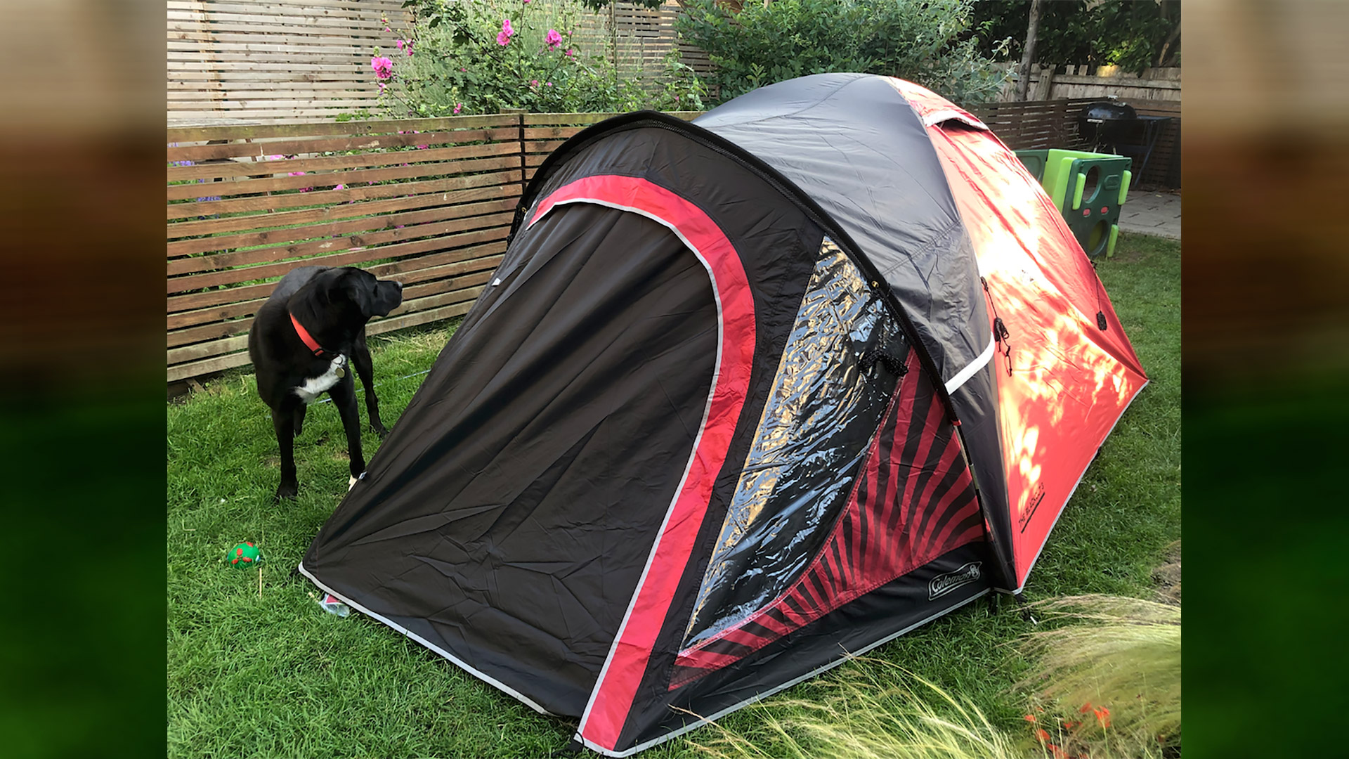 Best tents