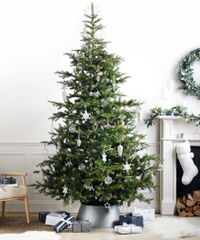 Symons Nordmann Fir Christmas Tree | £395.00 on The White Company&nbsp;