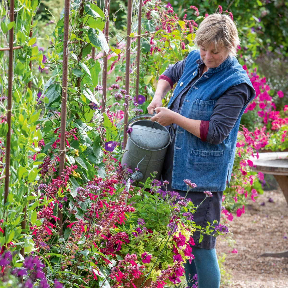 Drought tolerant plants Sarah Raven's top tips Ideal Home