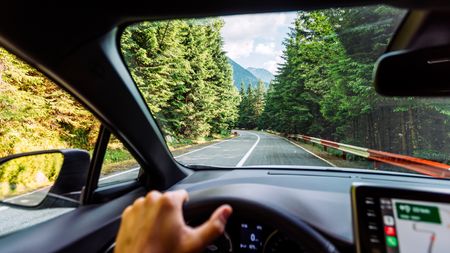 Hand on steering wheel in car on tree lined road