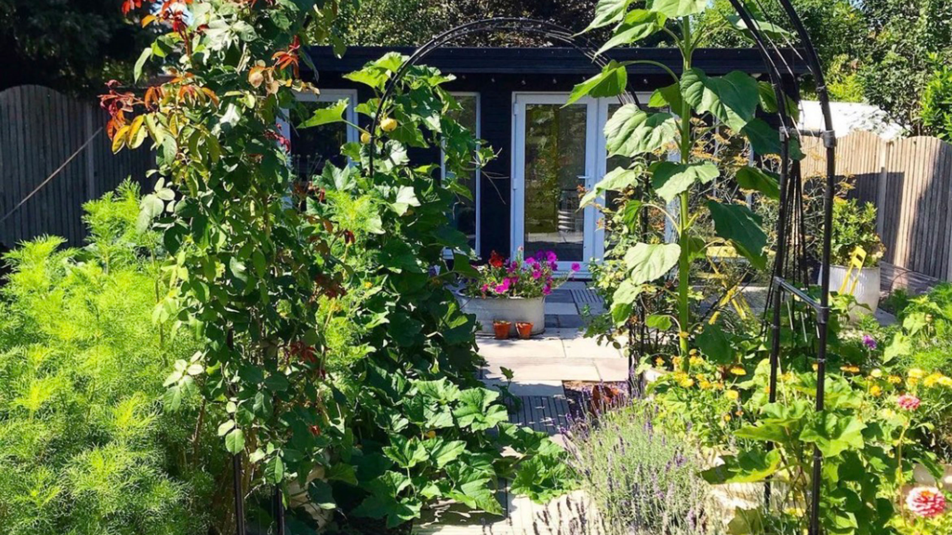 Garden with metal arch covered in climbing plants surrounded by lush flower beds in front of summerhouse