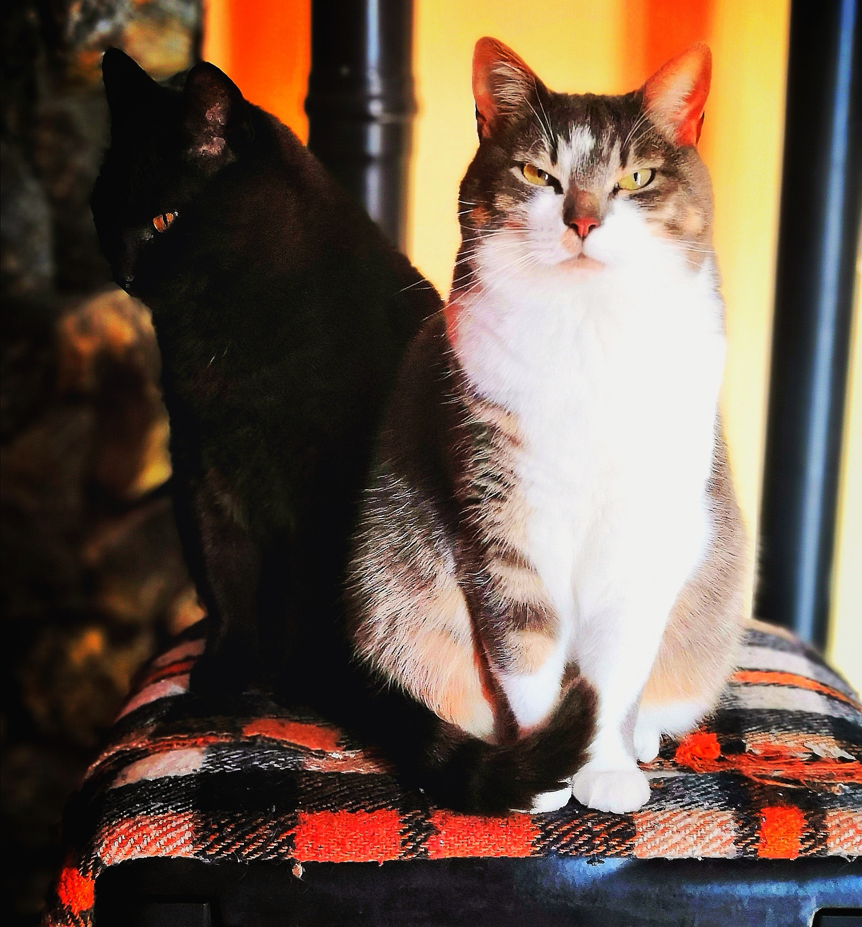 come modificare una foto