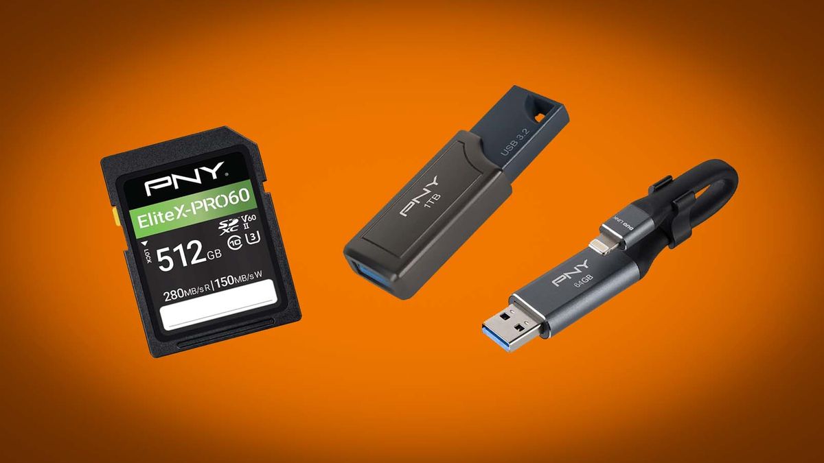 PNY memory card and flash drives.