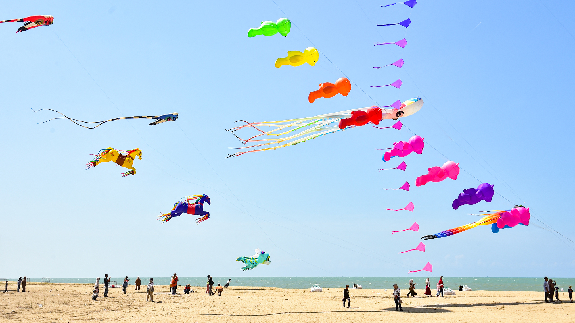 A kite festival