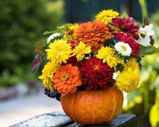 flowers in pumpkin vase for Halloween