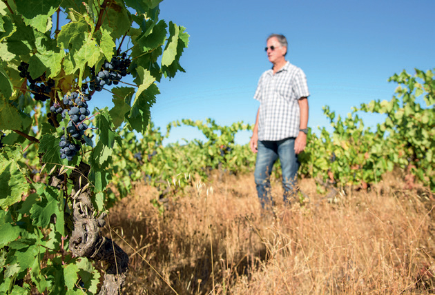 Serge Schwartz, Villa Tempora