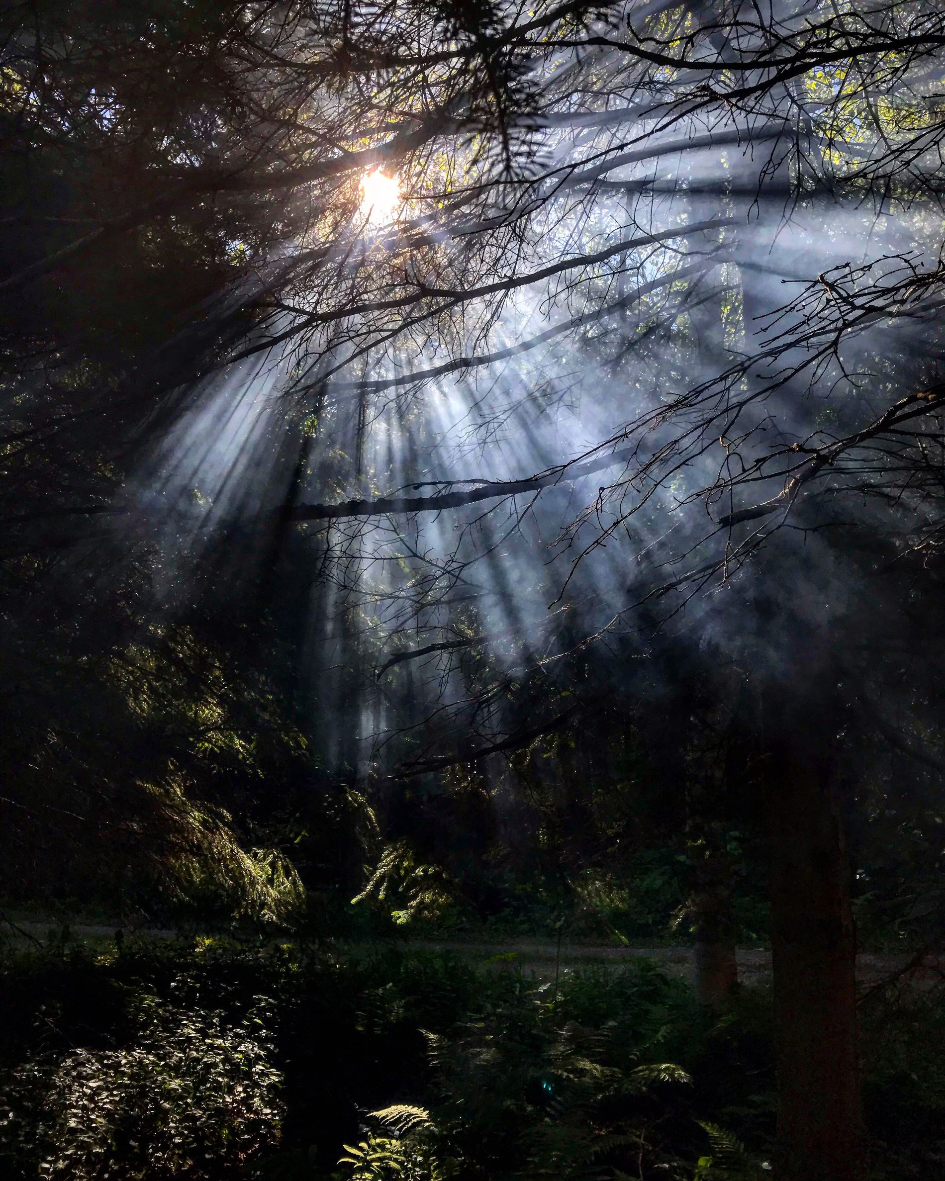 GuruShots - Nature&rsquo;s Masterpiece 2026