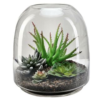 Glass terrarium vase by Wayfair