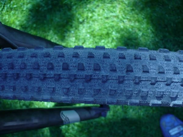 Specialized Renegade tires are on the Specialized Fate 29er.