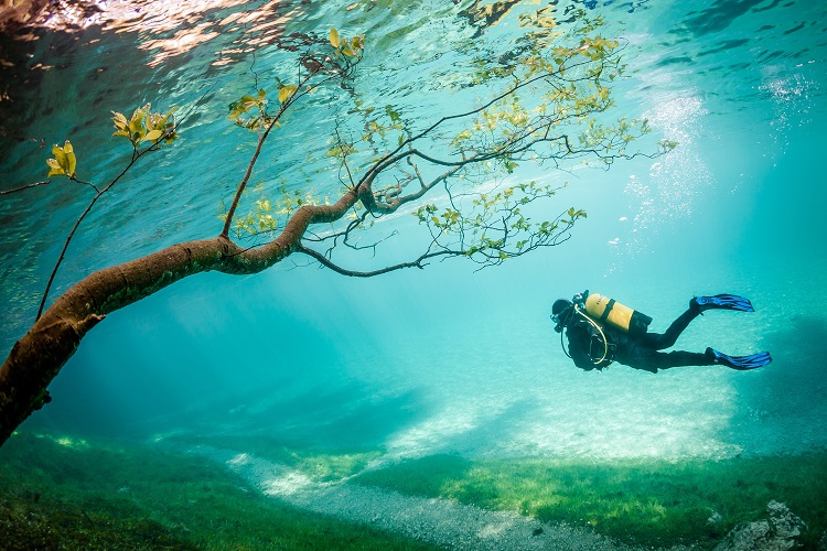 Snowmelt every year in Austria raises the water level of Green Lake. The water submerges hiking trails, fields and entire trees for a few weeks.