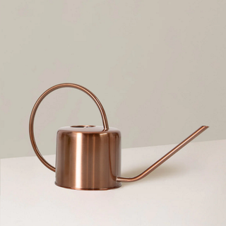 The Sill bronze watering can