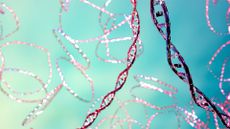 Computer illustration of plasmids, meaning small, circular, double stranded DNA molecules 
