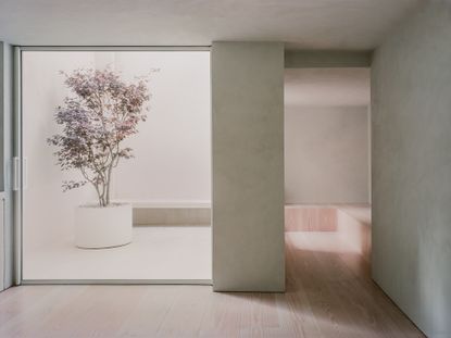 minimalist architecture interior of Elizabeth Mews by Trewhela Williams