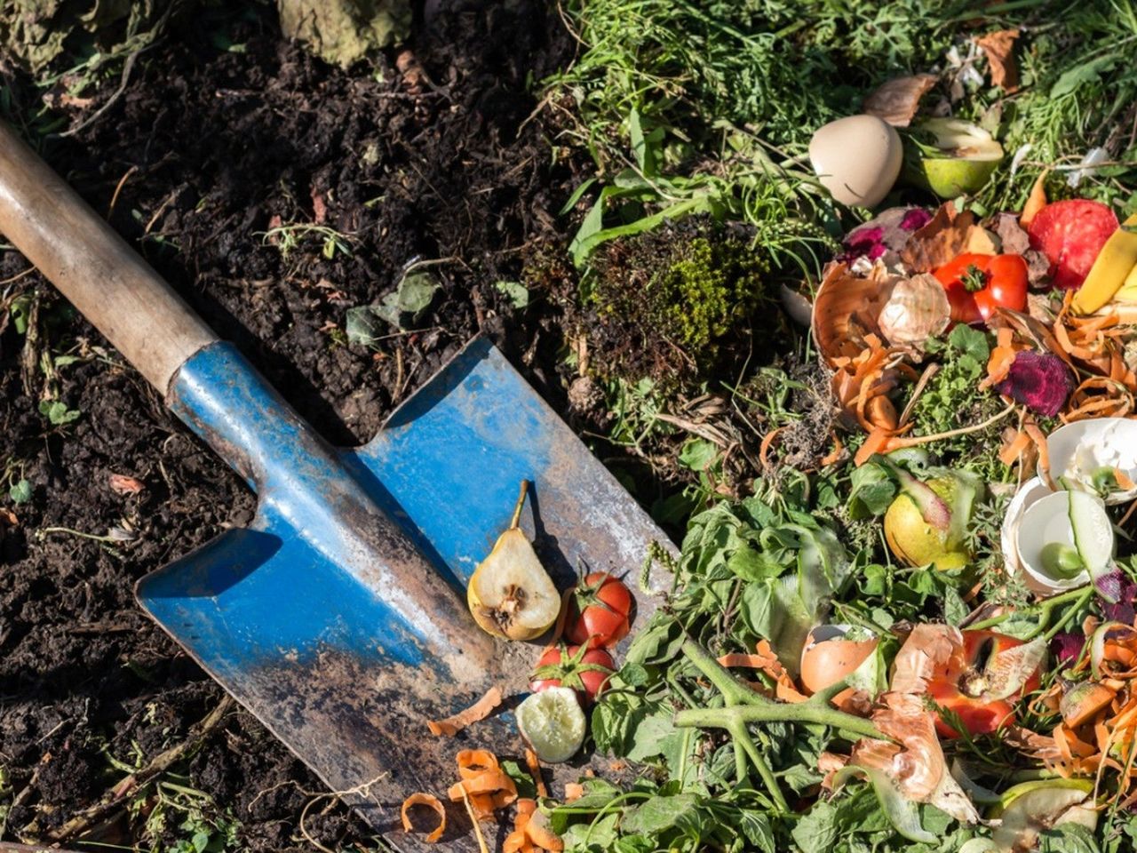 A blue shovel digs into a pile of composting food waste