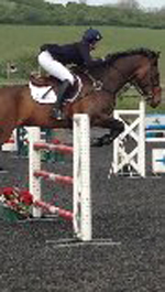 Sophie Jenman and Geronimo showjumping