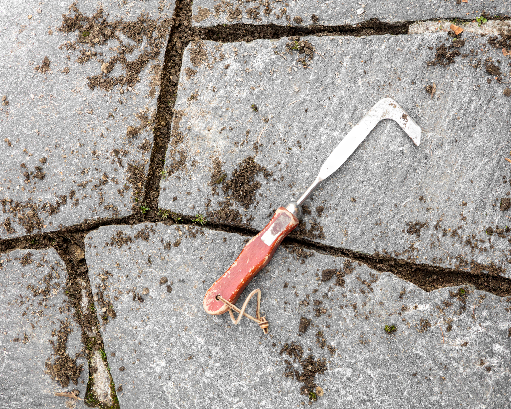 Crack weeder used between patio pavers