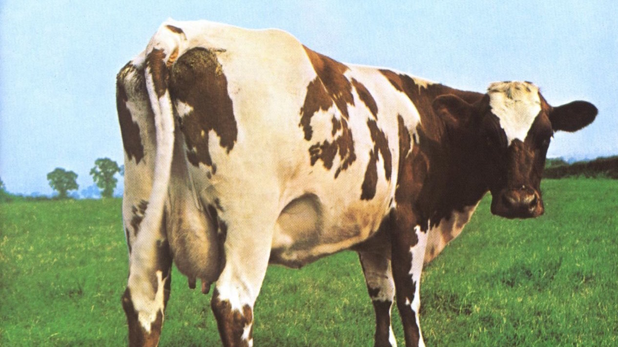 Pink Floyd Atom Heart Mother album cover