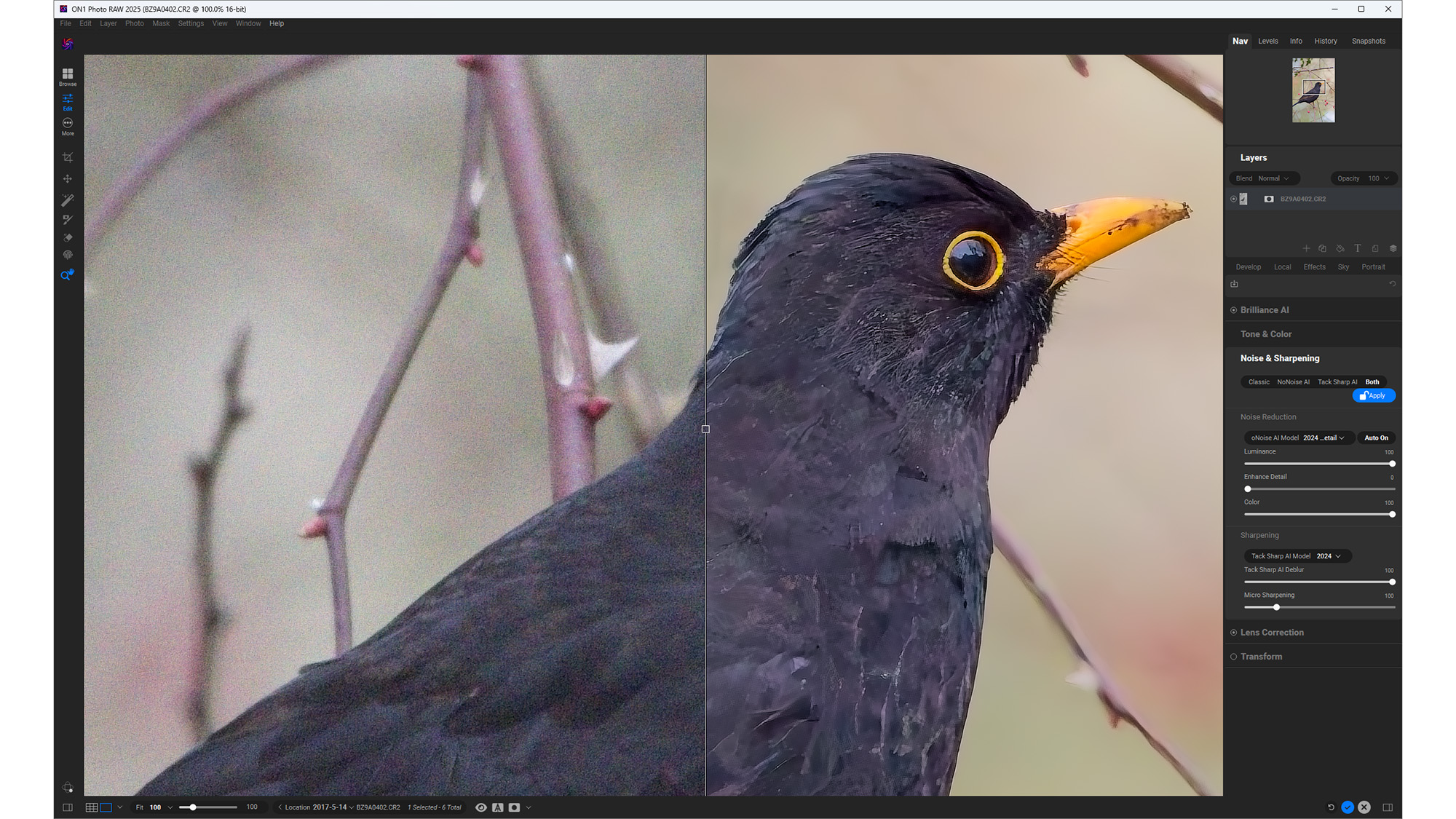 ON1 Photo Raw 2025