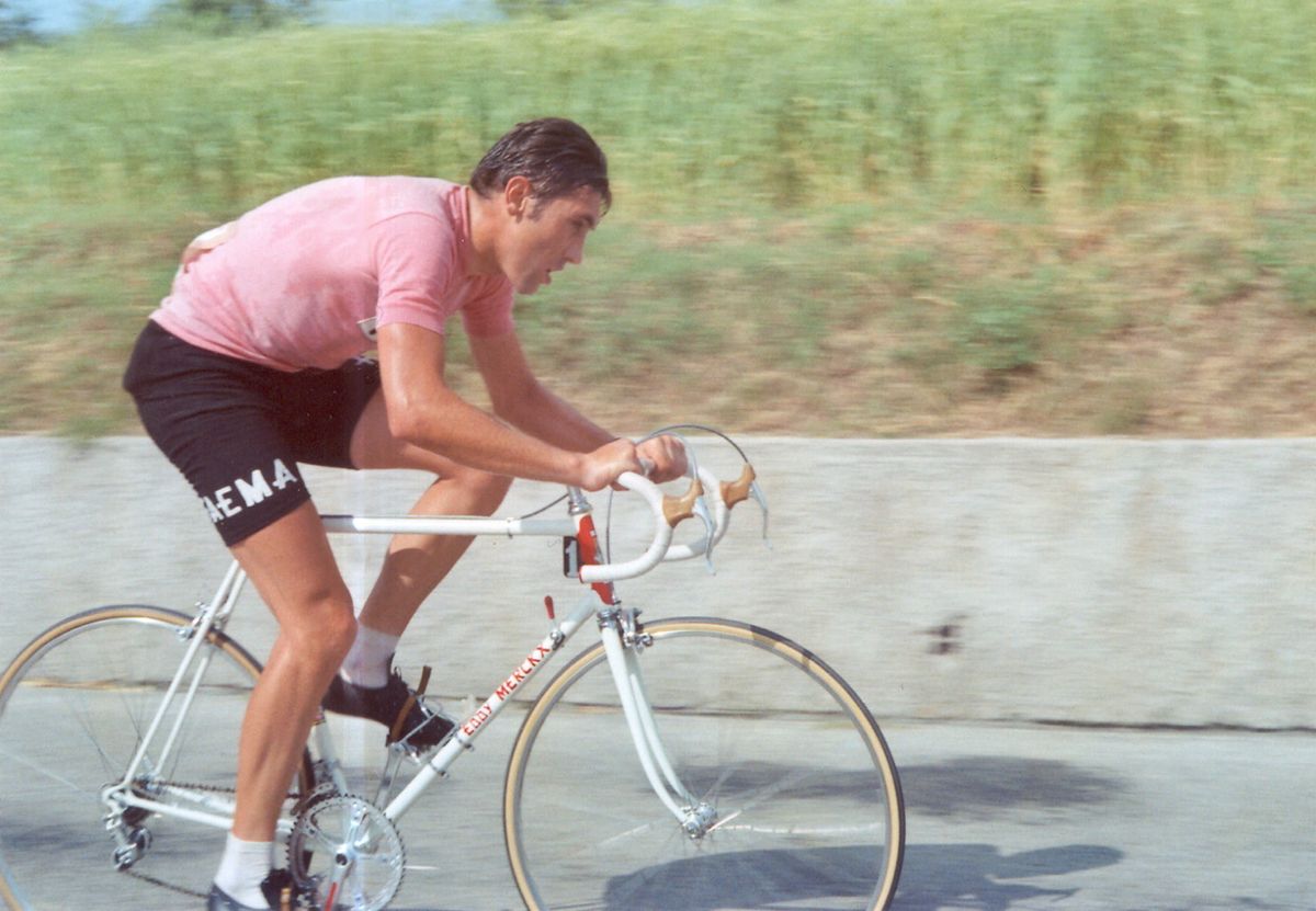 maglia rosa