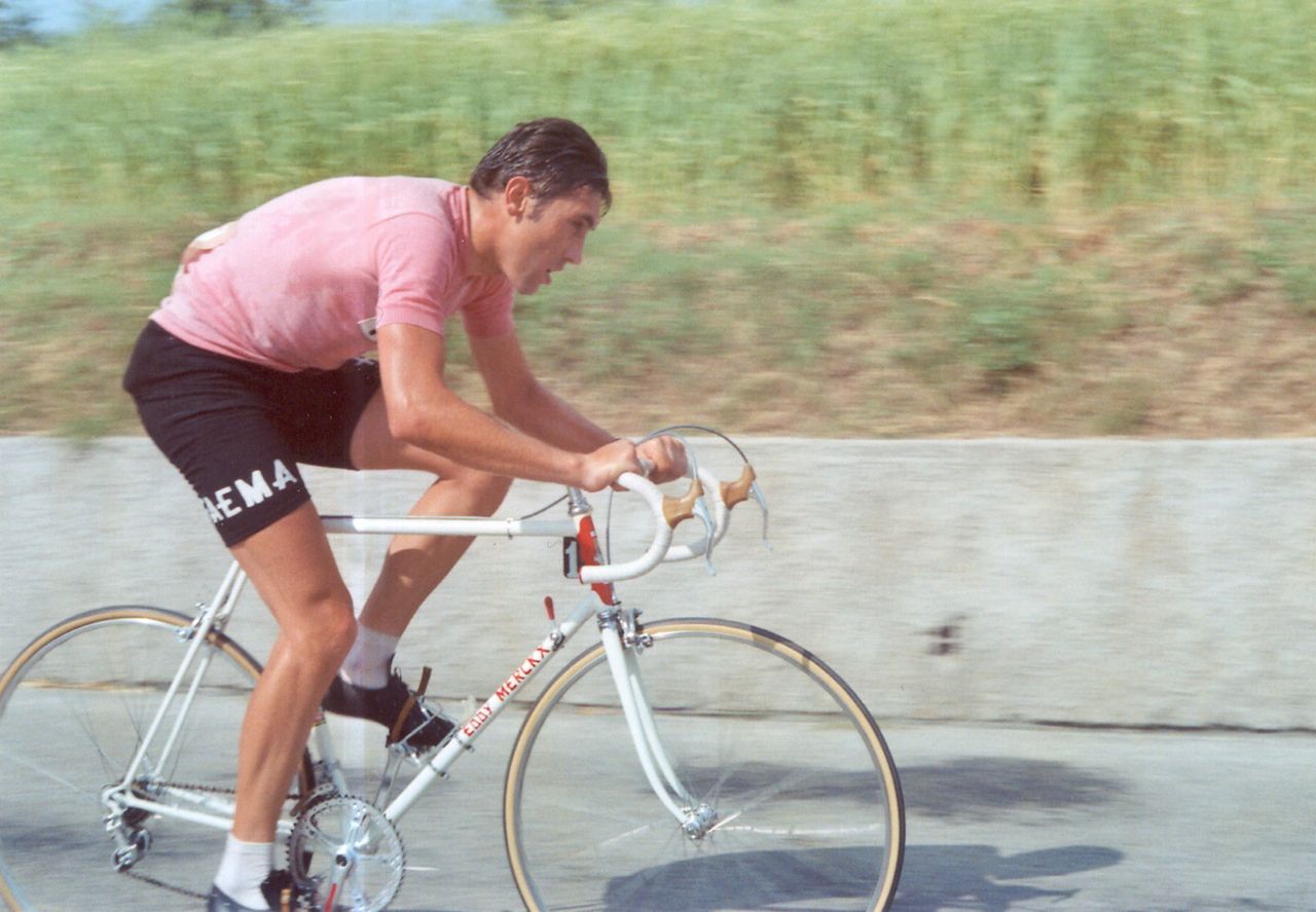 maglia rosa