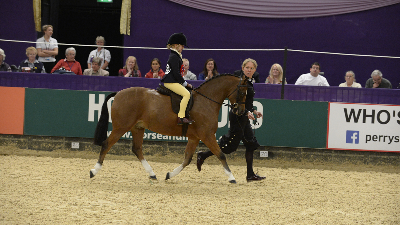 Show pony specialist Sarah Newbould with Joebex Chitty Chitty Bang Bang at HOYS 2013.