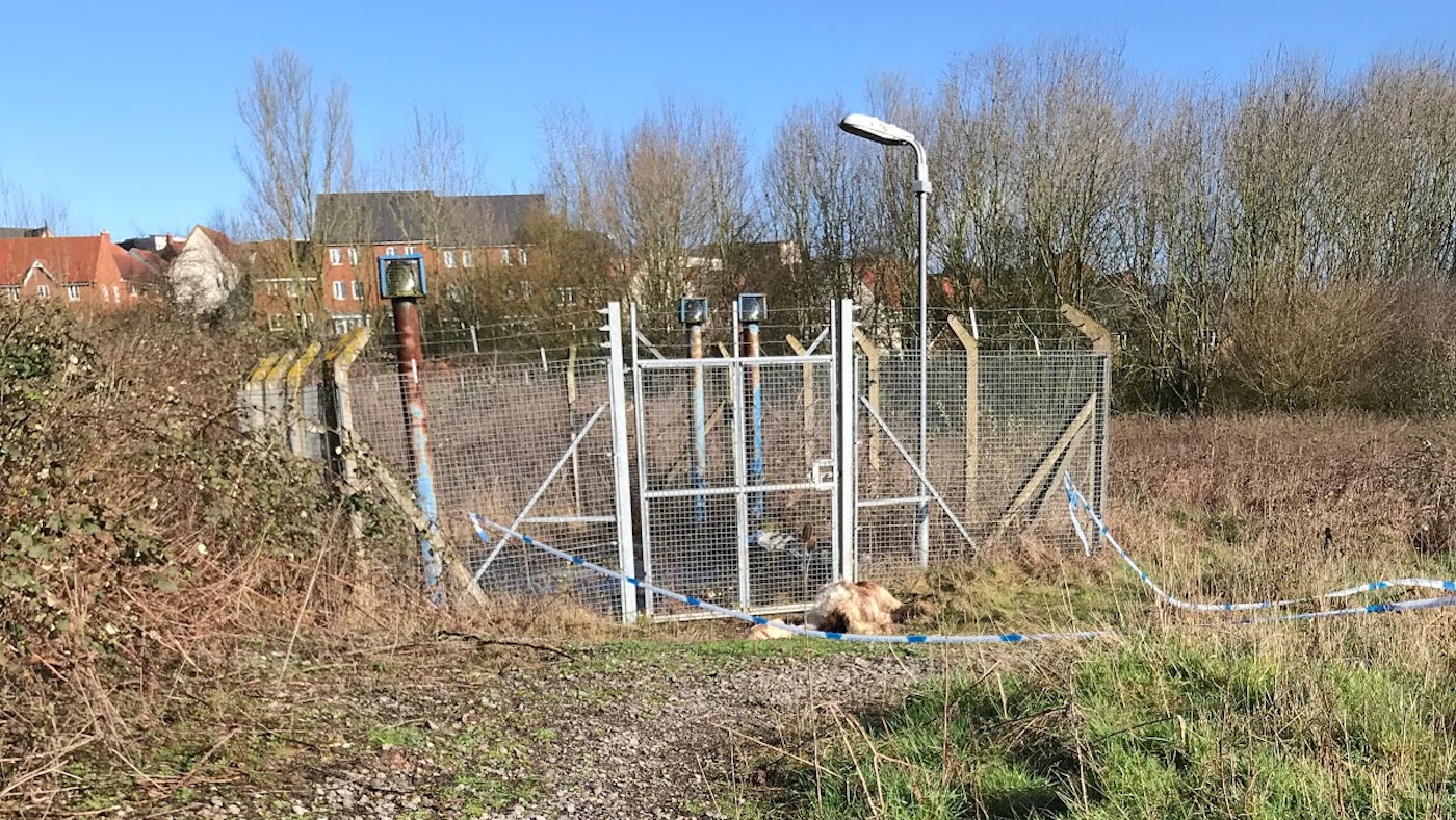 RSPCA-Yeovil-case.jpg
