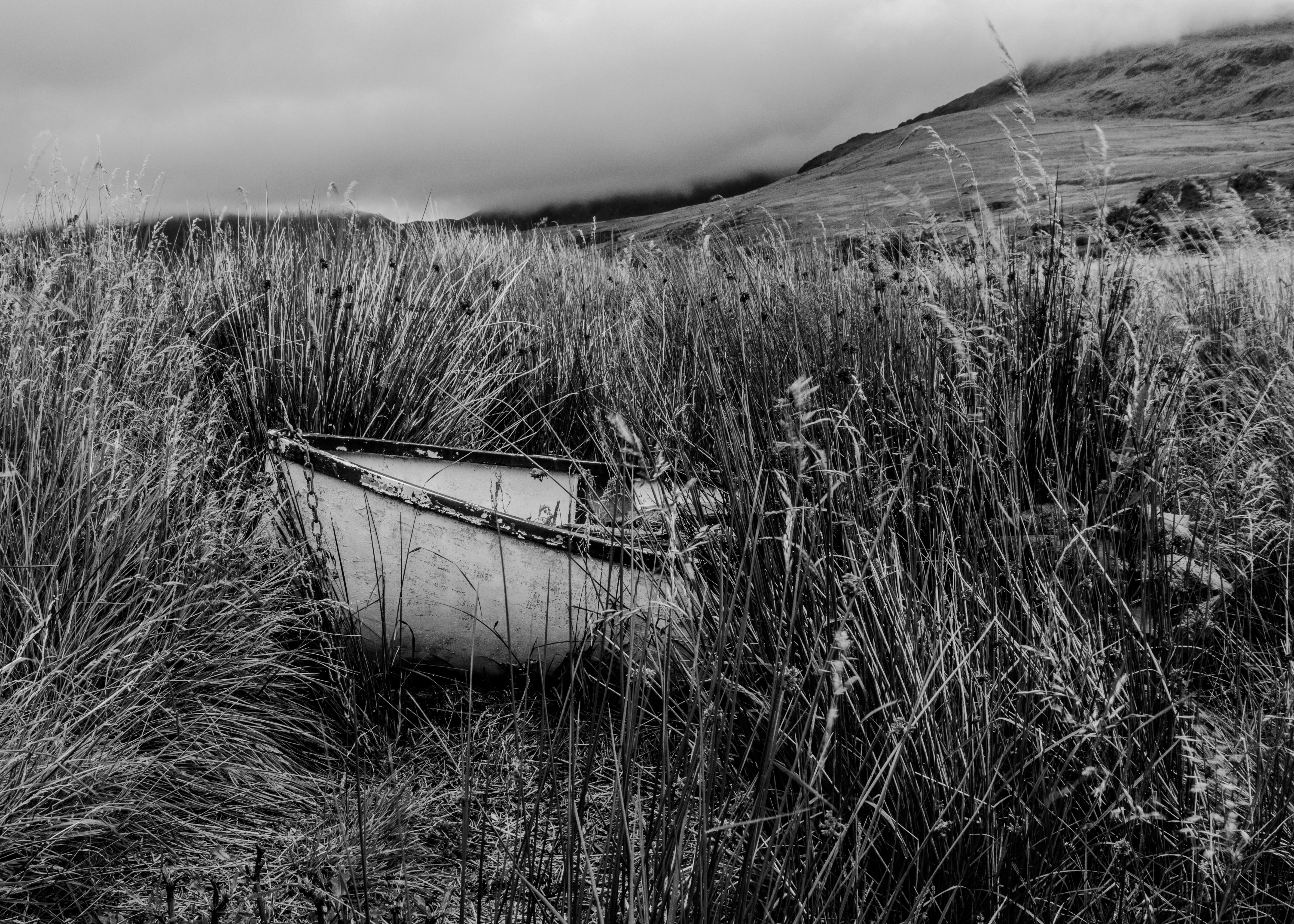 GuruShots - February 2026