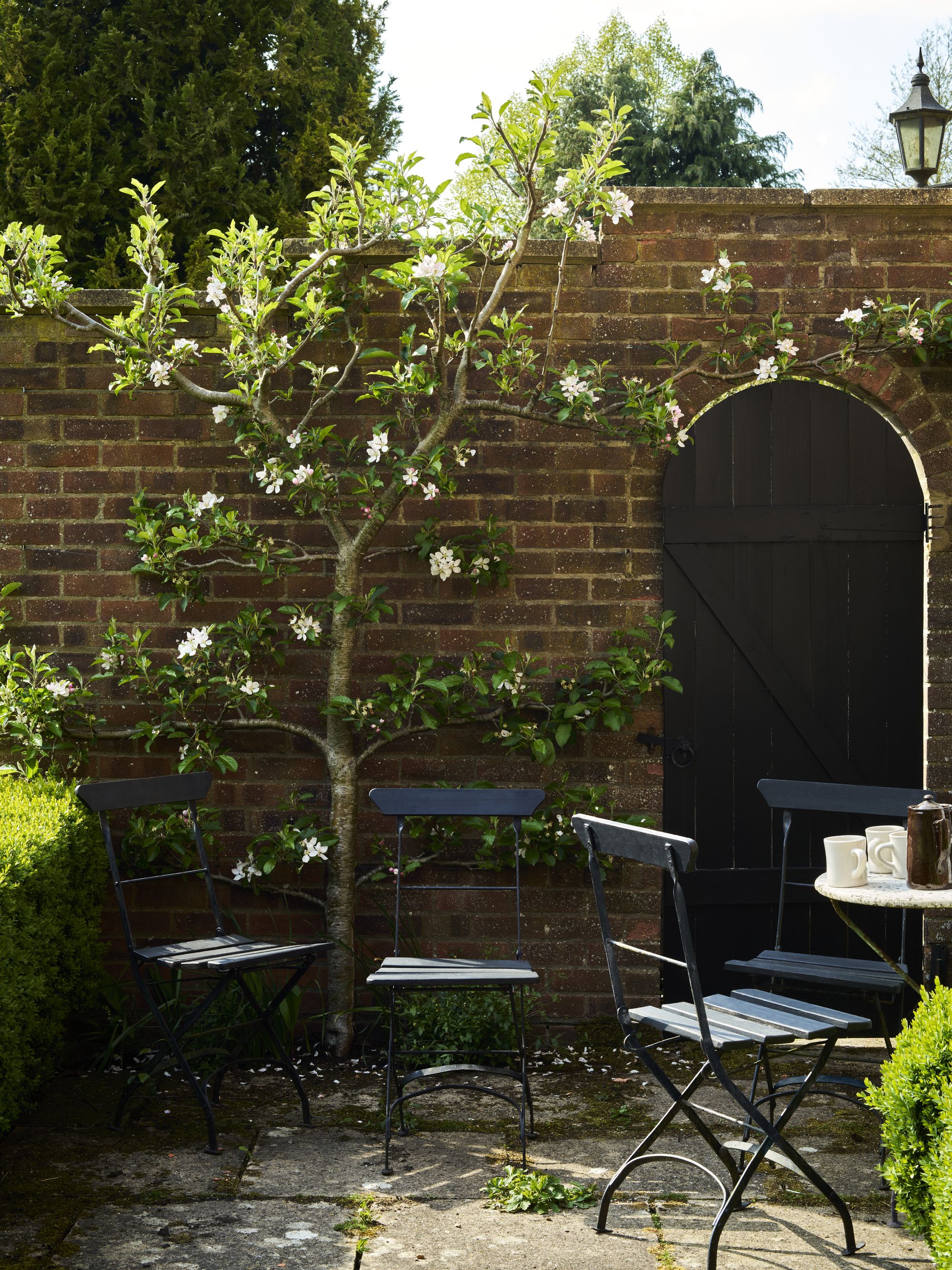 Image of for navy bistro chairs on a stone patio with a brick wall surrounding it. There is an arched doorway with a black, wooden door, and a small tree growing up the brick wall.