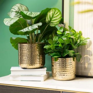two metallic brass planters on a shelf with greenery