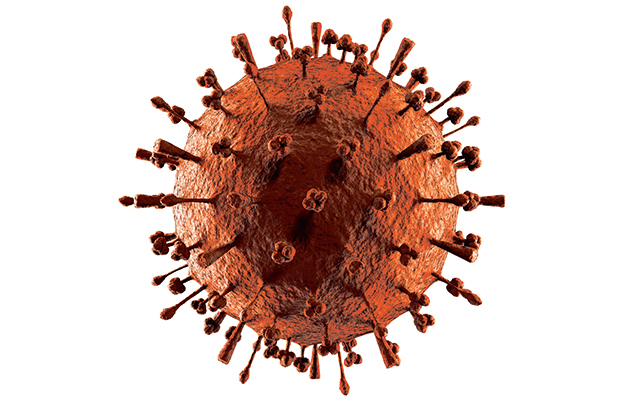 A virus particle virion