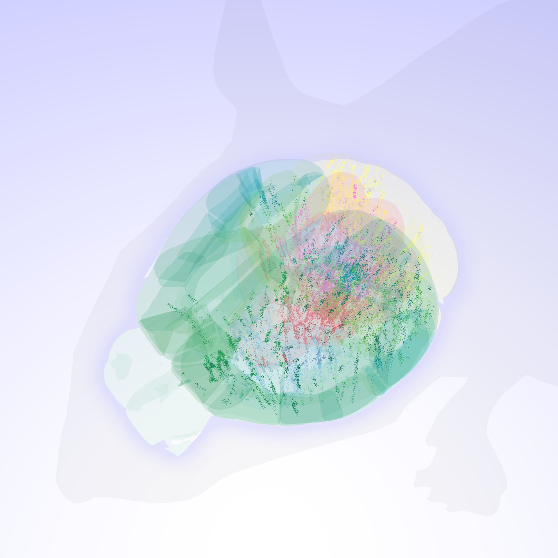 A colored diagram of different neurons in the mouse brain