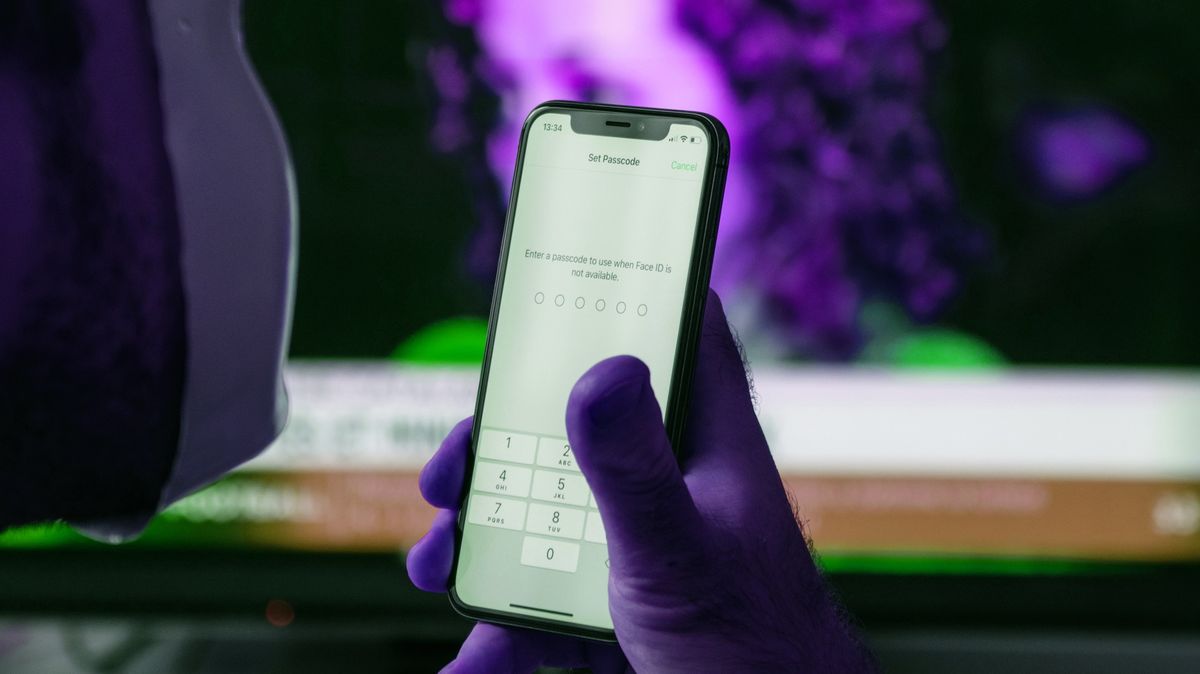 apple iphone passcode entry
