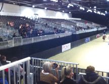 horse_world_empty.jpg
