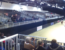 horse_world_empty.jpg