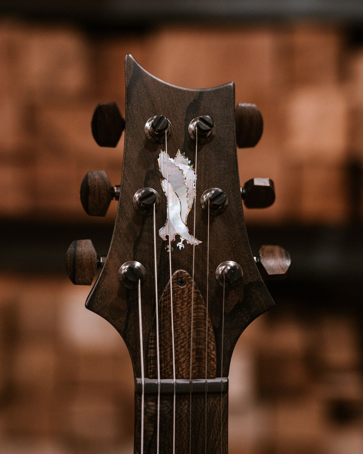 PRS's new PRS Private Stock Special Semi-Hollow guitar